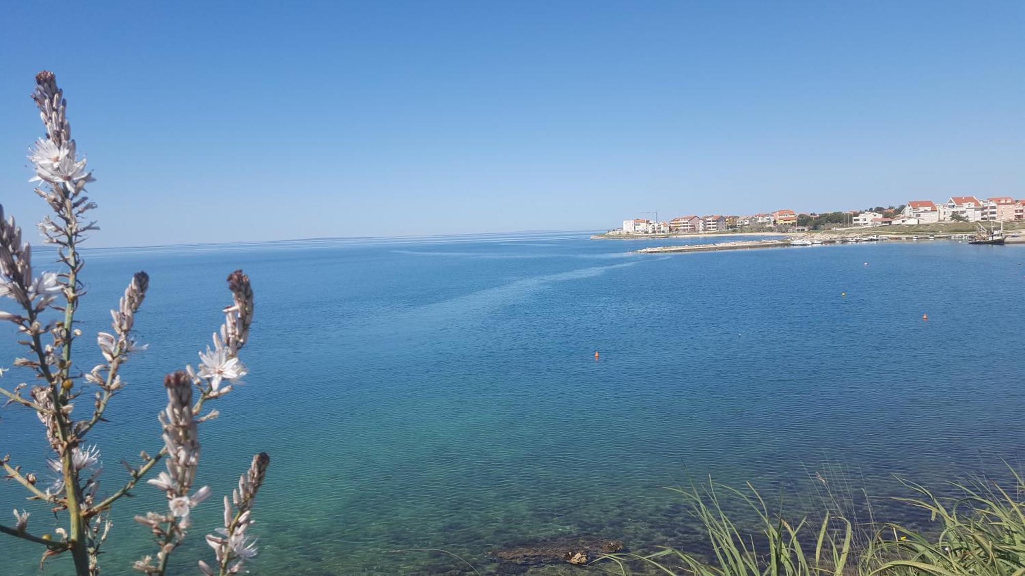 Apartamento Zagi Povljana Exterior foto